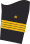 Navy sleeve insignias