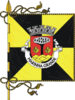 Flag of Marinha Grande