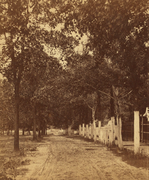York Street, from the collection of stereoscopic views of Aiken and vicinity, New York Public Library