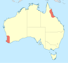 Map of Australia showing presence of Zephyrogomphus in the southwest and northeast