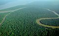 Image 46The Amazon rainforest alongside the Solimões River, a tropical rainforest. These forests are the most biodiverse and productive ecosystems in the world. (from Forest)