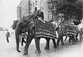 A parade of elephants with Indian trainers from the Hagenbeck show, on their way to the Berlin Zoo, 1926