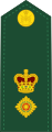 Canadian Army (Lieutenant Colonel)