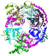 "Ribbon view" of the human exosome complex