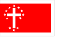 Maury's flag as commander of the Department of the Gulf, 1864