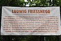 Ludwig Friessnegg