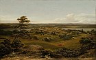 Rocks in New England, 1855