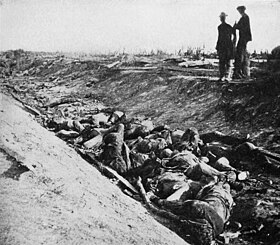 two men observing a ditch full of dead soldiers