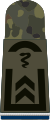 Aufschiebeschlaufe Oberfeldwebel SanOA (Feldanzug Heeresuniformträger Sanitätstruppe Vete­rinär) (man be­achte die durch­bro­chene Umrandung)
