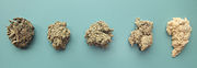 Samples of Japanese Moxa. Left to right: processed mugwort (1st stage); processed mugwort (2nd stage); coarse Moxa for indirect moxibustion; usual quality for indirect and direct moxibustion; superior quality for direct moxibustion.