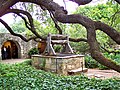 Old well and oak tree in courtyard of the Alamo