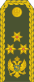 General Potpukovnik (Montenegrin Ground Army)[2]