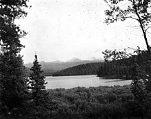 Black and white photo of a lake with a glaciated, dome-shaped mountain in the background and a couple of trees in the foreground.