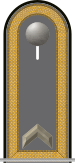 Dienstgradabzeichen auf der Schulterklappe der Jacke des Dienstanzuges für Heeresuniformträger der Pioniertruppe.