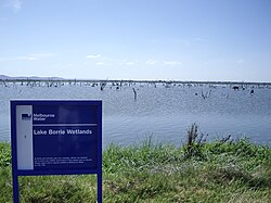 A large body of water studded with dead branches, with a grassy bank and Lake Borrie Wetlands sign in the foreground