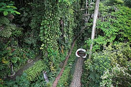 Las Pozas is located in a subtropical rainforest of San Luis Potosí.