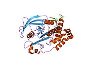 1t4j: Allosteric Inhibition of Protein Tyrosine Phosphatase 1B