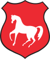 Wappen von Łosice