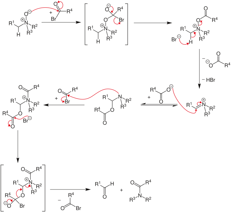 Mechanismus der Polonovski-Reaktion