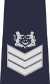 Staff sergeant (Singapore Police Force)[50]