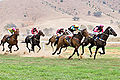 Image 4 Horse racing Credit: Fir0002 Horses race on grass at the 2006 Tambo Valley Races in Swifts Creek, Victoria, Australia. Horseracing is the third most popular spectator sport in Australia, behind Australian rules football and rugby league, with almost 2 million admissions to the 379 racecourses throughout Australia in 2002–03. More selected pictures