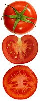 The seeds in a tomato fruit grow from placental areas at the interior of the ovary. (This is axile placentation in a bi-locular fruit.)