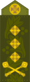 Генерал-лейтенант Heneral-leytenant[54] (Ukrainian Ground Forces)