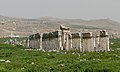 Image 16The "Great Colonnade" marks the cardo maximus of Apamea, Syria. (from History of cities)