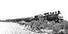A WAGR E class steam locomotive hauls the first train of bulk wheat in Western Australia in 1931