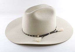 Cowboy hat, sometimes "ten gallon hat"
