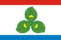 Flag of Krasnoznamensky District