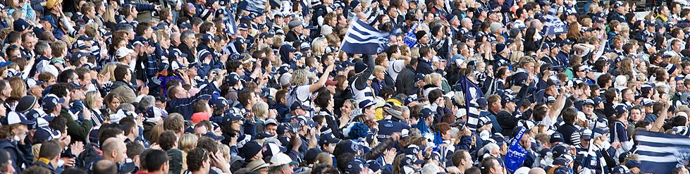 Geelong supporters at the 2009 AFL Grand Final