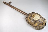 Lute with turtle-shell body, back, Democratic Republican of the Congo