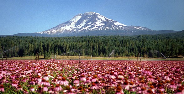 Mount Adams is the second highest summit of the U.S. State of Washington.