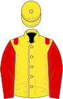 Yellow, red epaulets and sleeves