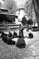 Monks in an intense debating session