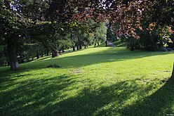 Meadow at St. Hanshaugen Park