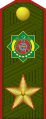 Goşun generaly (Armed Forces of Turkmenistan)
