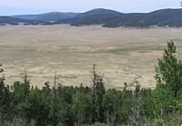 Overlook of a large grassy meadow surrounded by the forested caldera rim