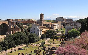 View from Palatine Hill