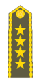 Armeegeneral (armádní generál)