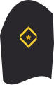 Ärmelabzeichen Seekadett (Dienstanzug Marineuniformträger)