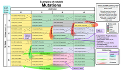 Notable mutations