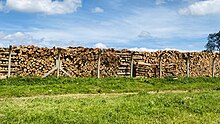 Piles of chopped dry ecalyptus wood next to Igara Secondary school near Butare town in Bushenyi district in Western Uganda 05