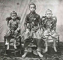 Young Prince Chulalongkorn (Rama V) and his two younger brother in 1851