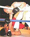 Image 27Yuki Nakai fights UFC 1 finalist Gerard Gordeau at Vale Tudo Japan 1995 (from Mixed martial arts)