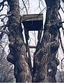Glockenhaus auf einem Baum in Božtěšice (Ústí nad Labem)