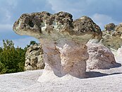 The Stone Mushrooms
