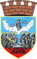 Coat of arms of the City of Zrenjanin, Serbia