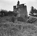Ruins of Broekhuizen Castle (1959)